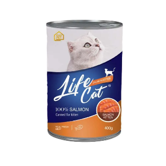 Life Cat Can Kitten